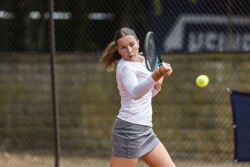 Bild 235 - BL DTV Hannover - BW Dresden Blasewitz : Ergebnis: 2:7